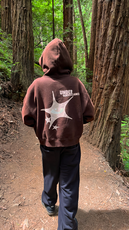 Under Surveillance Hoodie